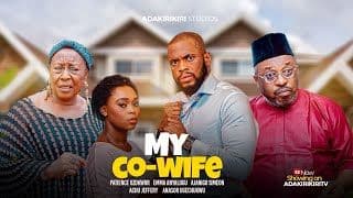My Co Wife