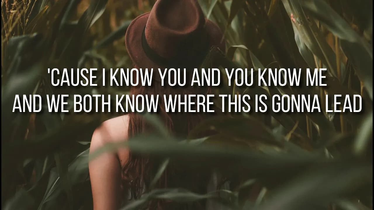 Chris Stapleton - You Should Probably Leave Lyrics