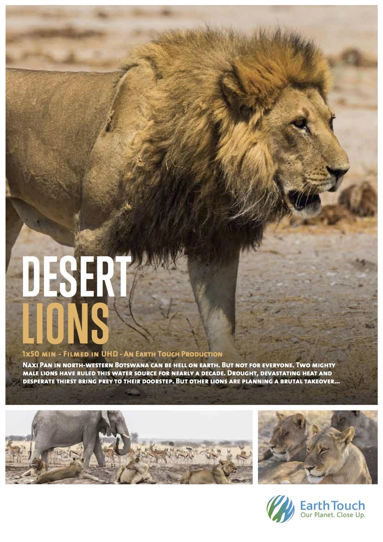 Kings of the Desert