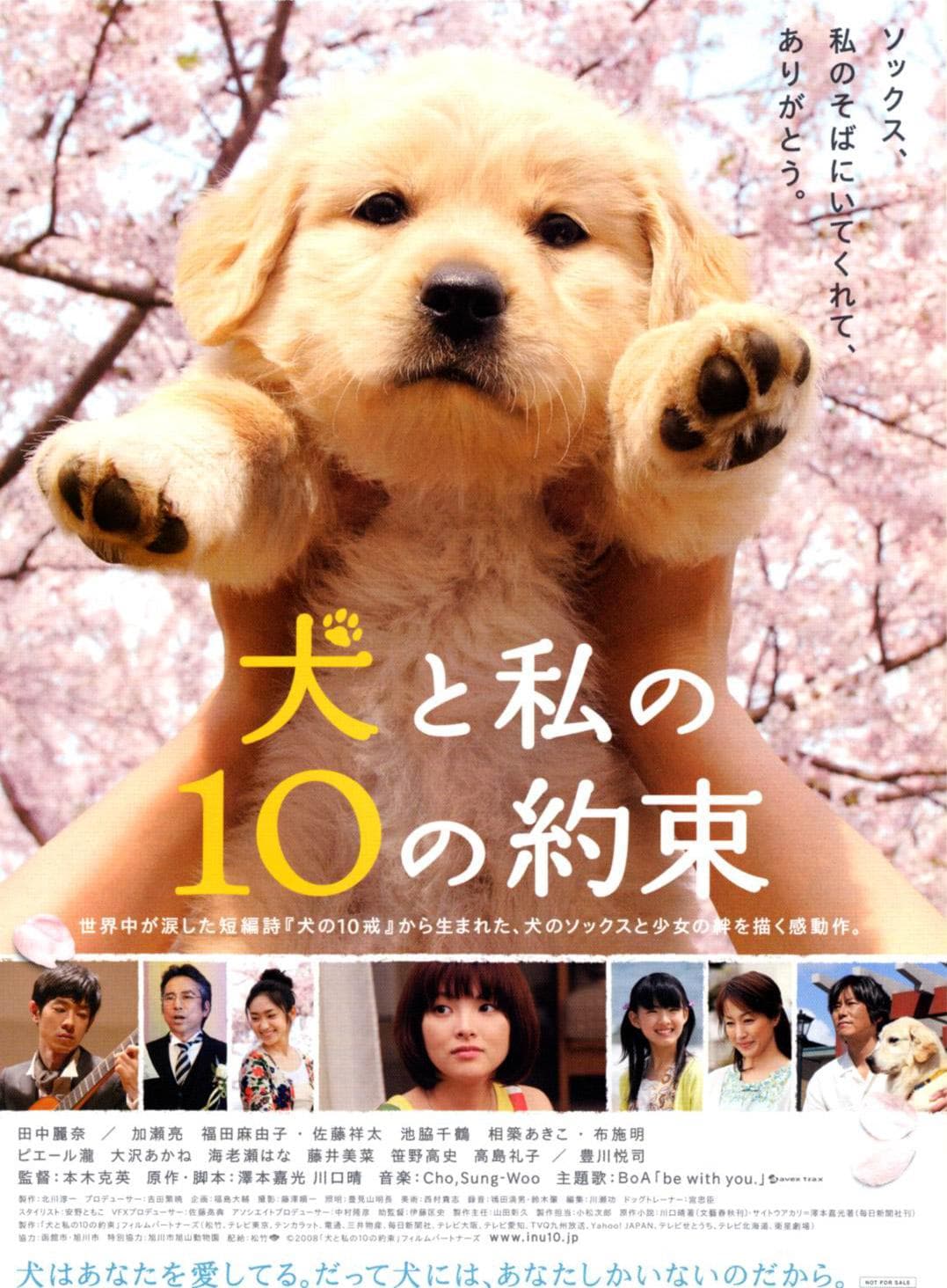 10 Promises to My Dog