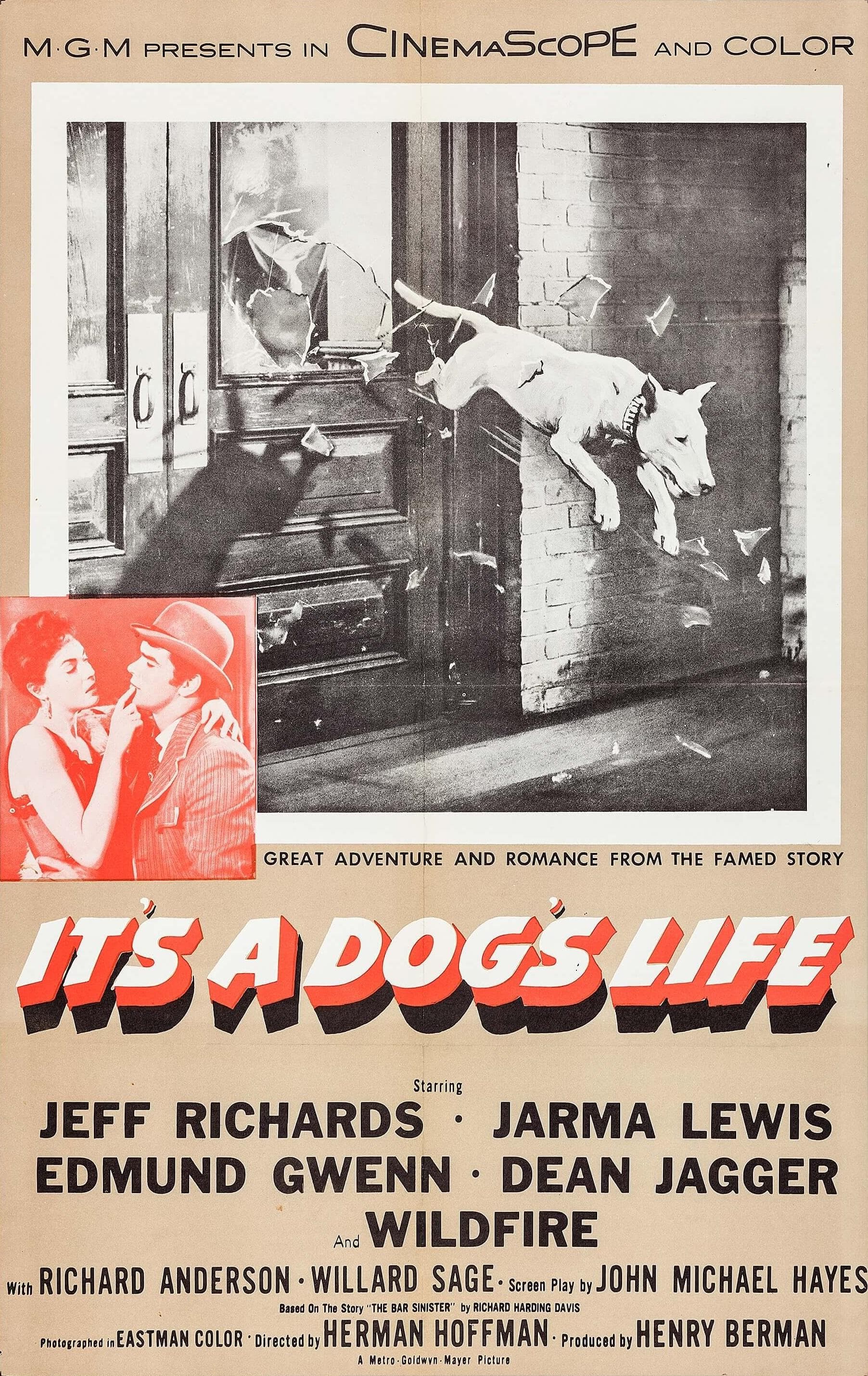 It's a Dog's Life