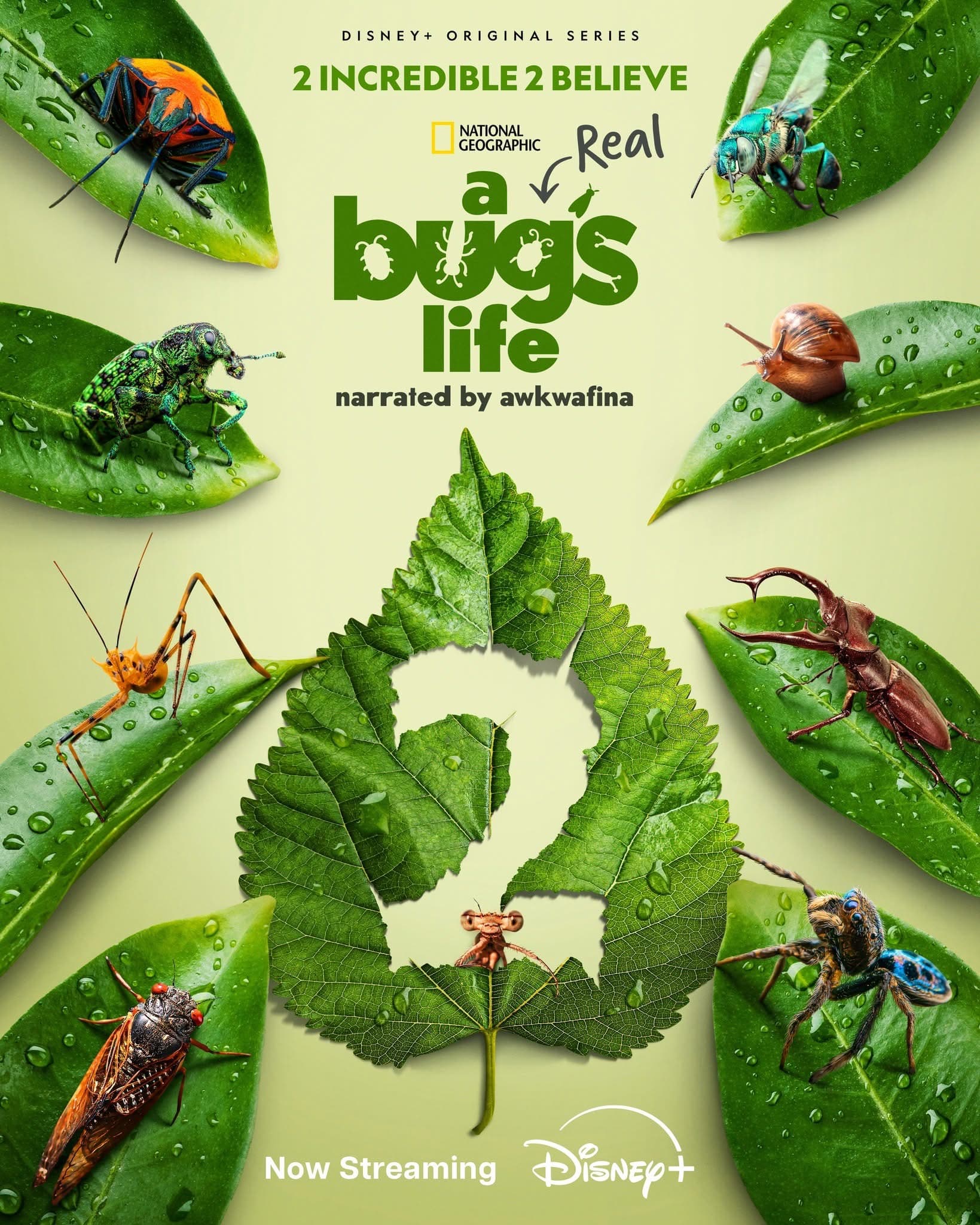 A Real Bug's Life S1-S2