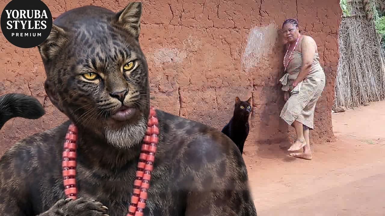Ologbo Oru